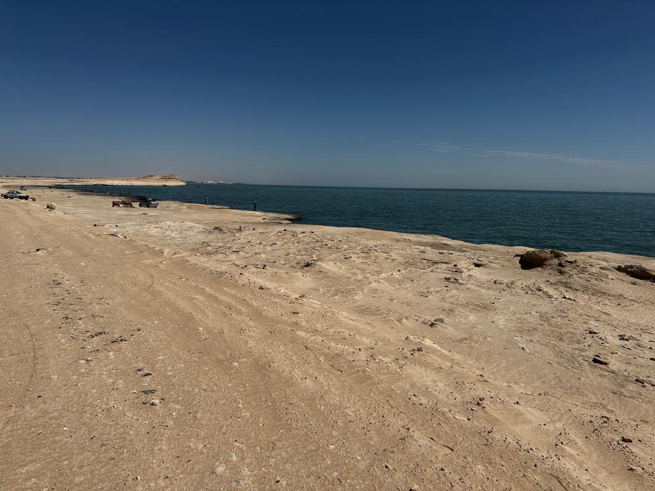 WhatsApp Image 2026-04-01 at 13.02.59