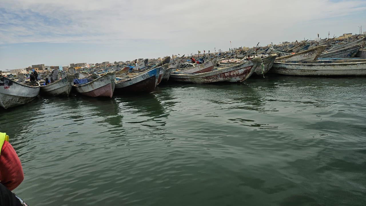 WhatsApp Image 2026-04-01 at 13.07.46