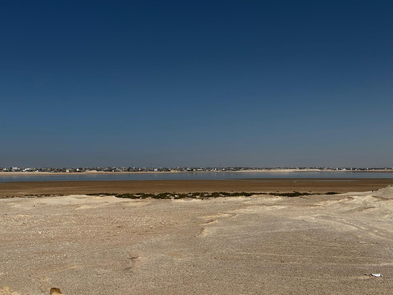 WhatsApp Image 2026-04-01 at 13.03.03 (1)