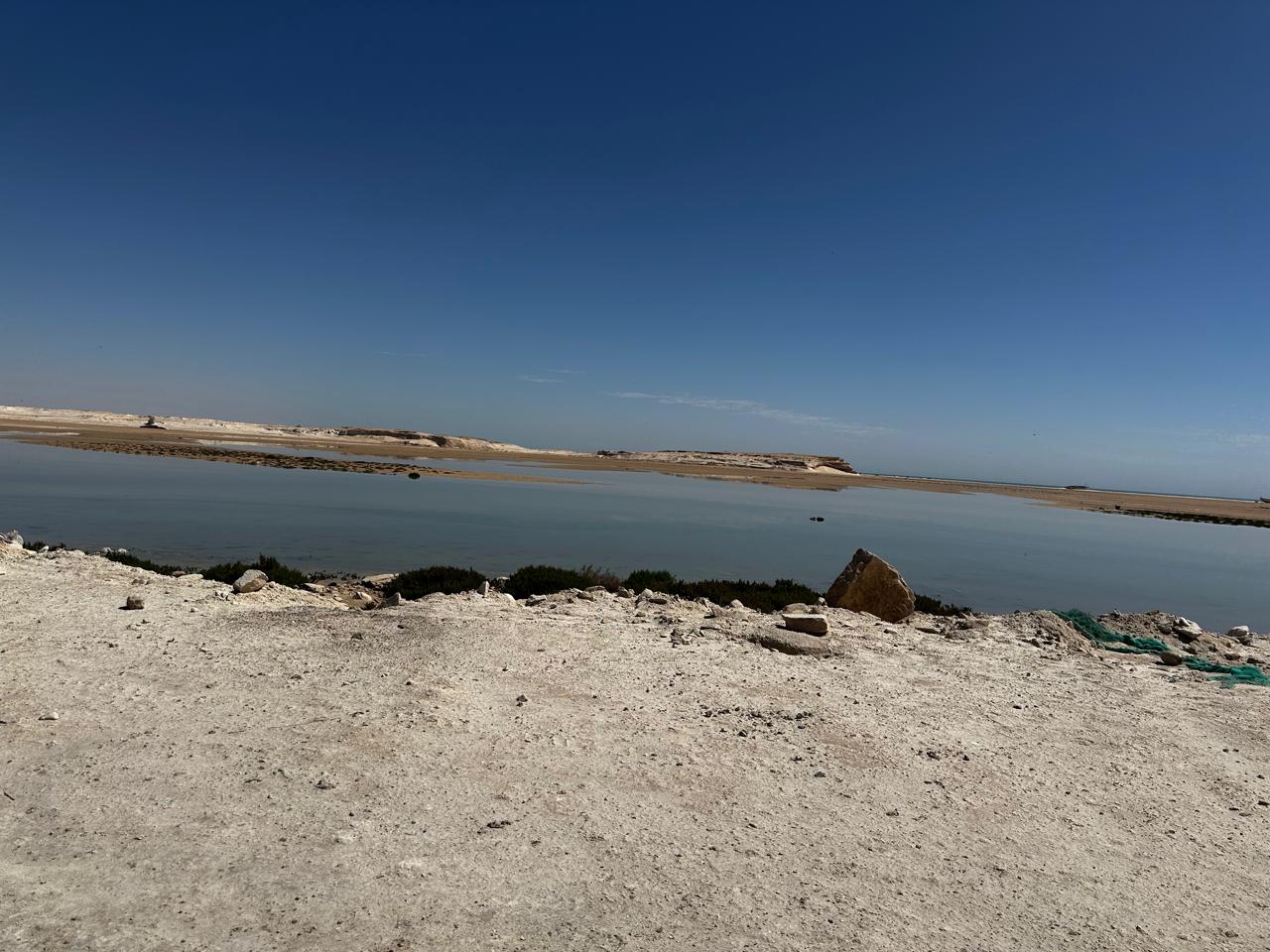 WhatsApp Image 2026-04-01 at 13.03.02