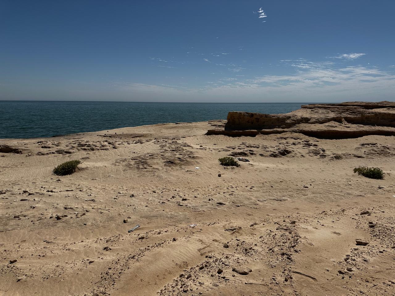 WhatsApp Image 2026-04-01 at 13.03.02 (1)