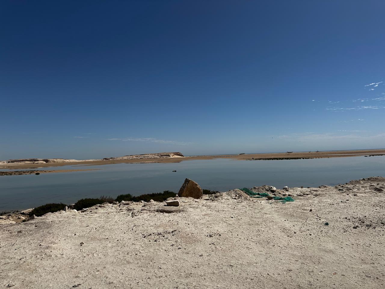 WhatsApp Image 2026-04-01 at 13.03.01