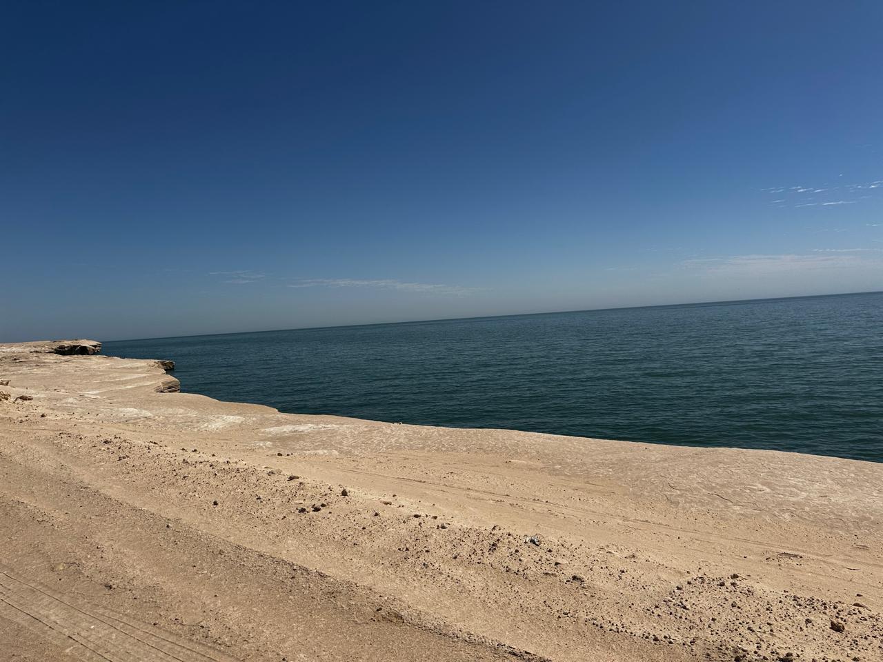 WhatsApp Image 2026-04-01 at 13.03.00