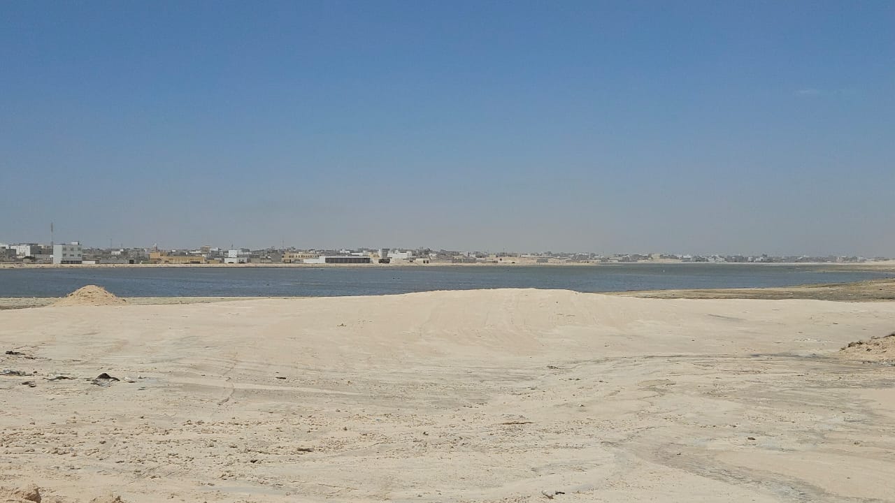 WhatsApp Image 2026-04-01 at 13.07.41