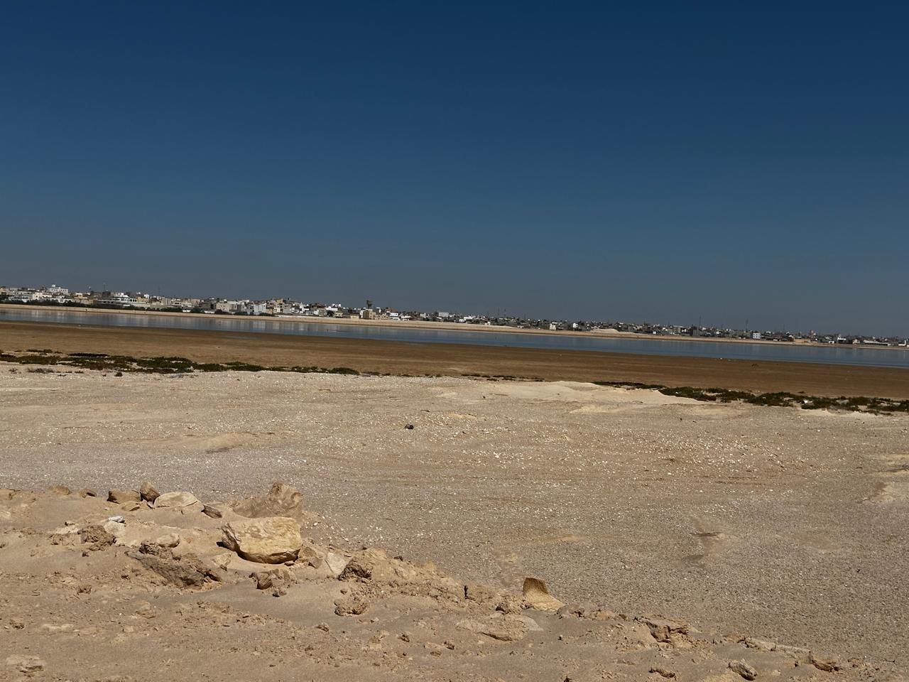 WhatsApp Image 2026-04-01 at 13.03.04