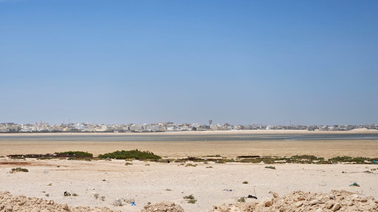 WhatsApp Image 2026-04-01 at 13.07.42