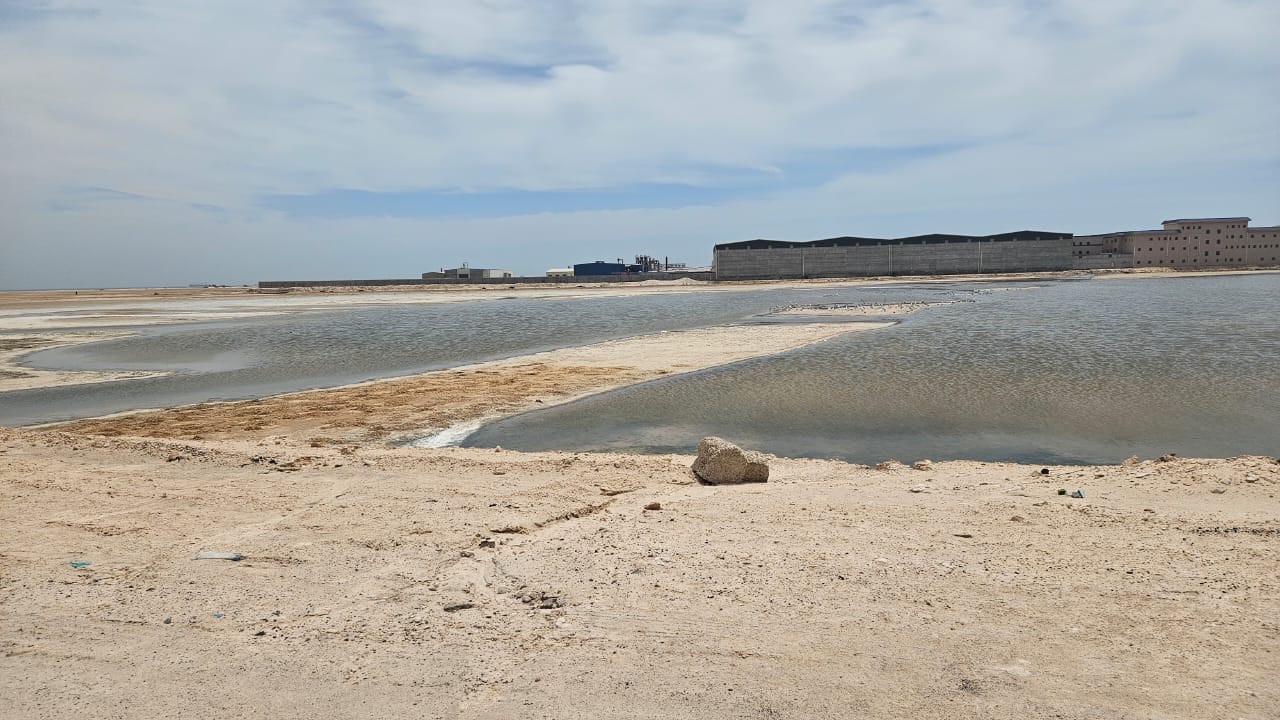 WhatsApp Image 2026-04-01 at 13.07.44