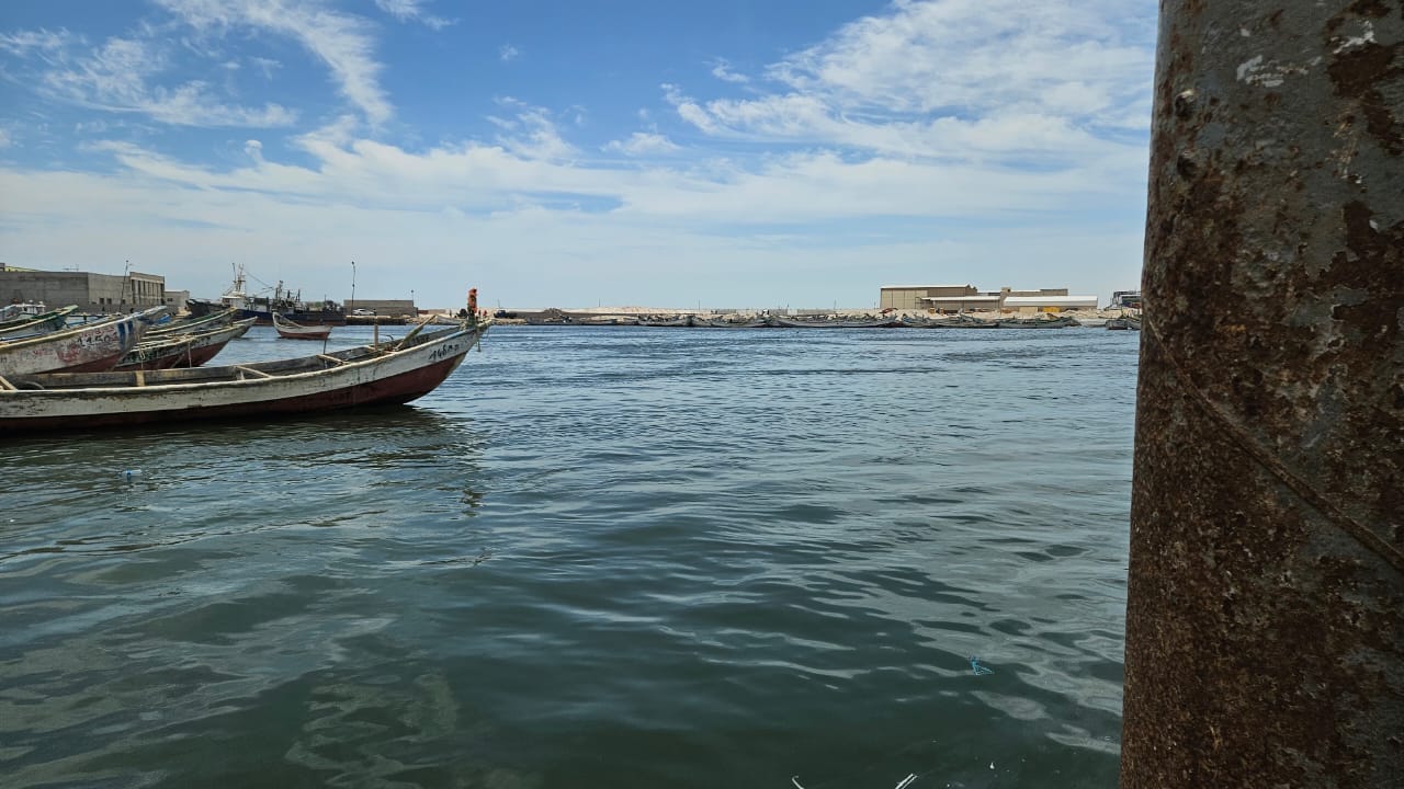 WhatsApp Image 2026-04-01 at 13.07.45